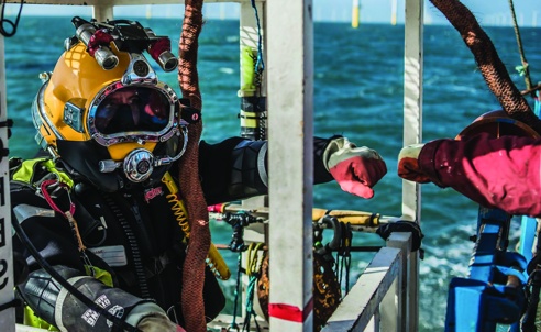 Diver in cage fist pumping with colleague before submersion