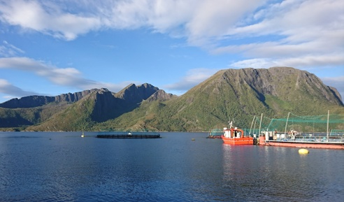 Aquaculture Fish Pens Fjord